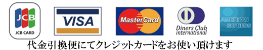 データ復旧完了後は代金引換便にてクレジットカードがお使い頂けます。