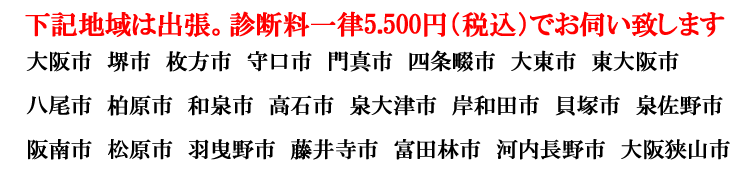 大阪府下の大阪市、堺市、枚方市、守口市、門真市、四条畷市、大東市、東大阪市、八尾市、柏原市、和泉市、高石市、泉大津市、岸和田市、貝塚市、泉佐野市、阪南市、松原市、羽曳野市、藤井寺市、富田林市、大阪狭山市、河内長野市への出張サポートは一律5.000円（税抜）でお伺い致します。